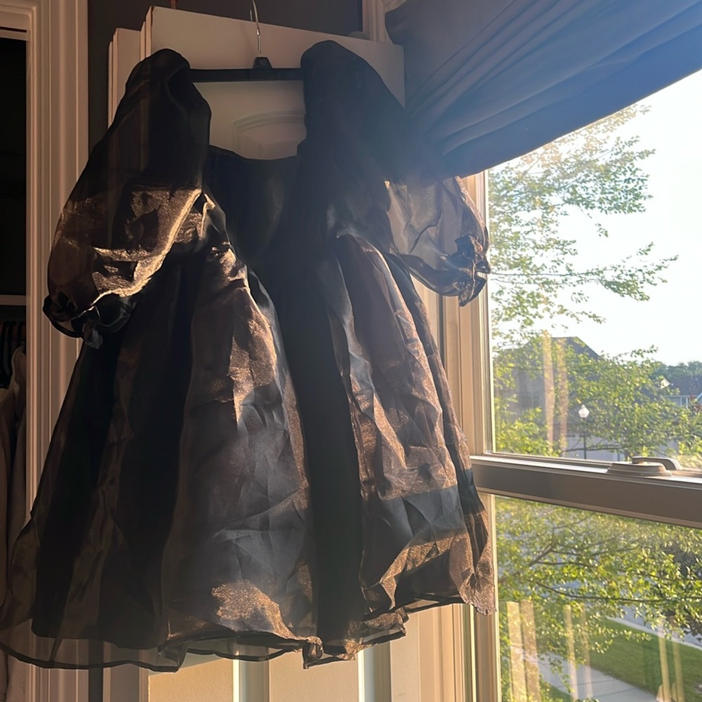Black sheer puffy mini dress